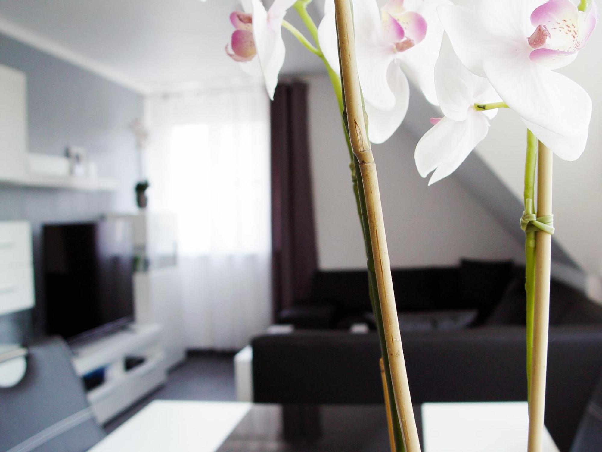Appartamento La Domus Premium - 73010 Lotte Esterno foto